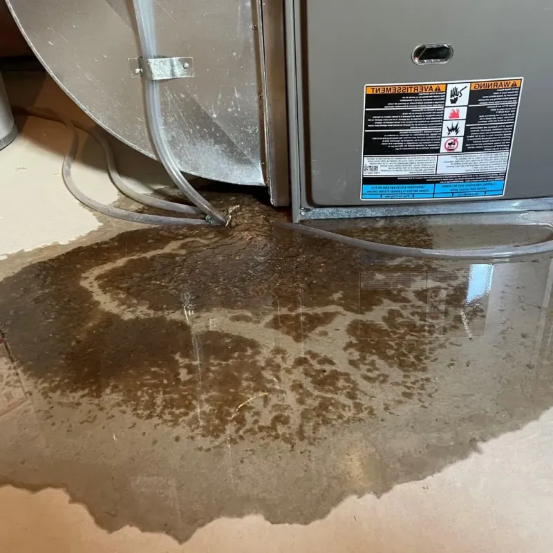 Pipe Burst and Leak Restoration in Westmoreland County, PA