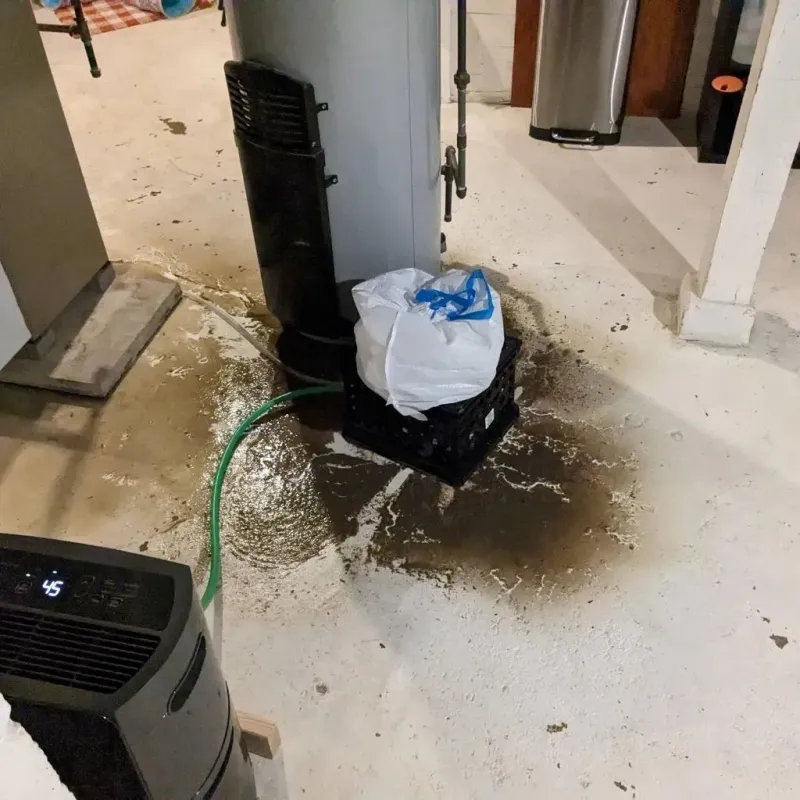 Sewage Backup Cleanup Service in Westmoreland County, PA